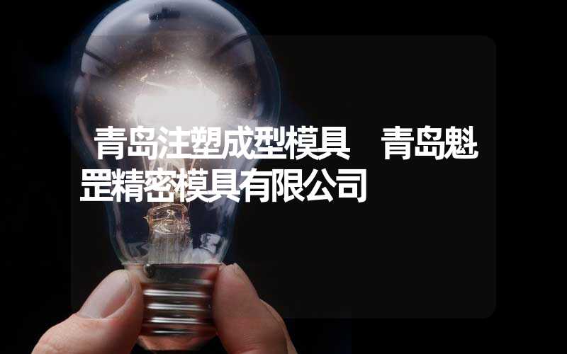 青岛注塑成型模具 青岛魁罡精密模具有限公司